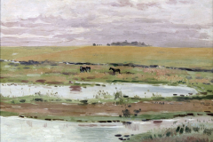 El bañado, 1902